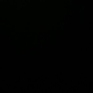 Meet your Posher, Jazmarie